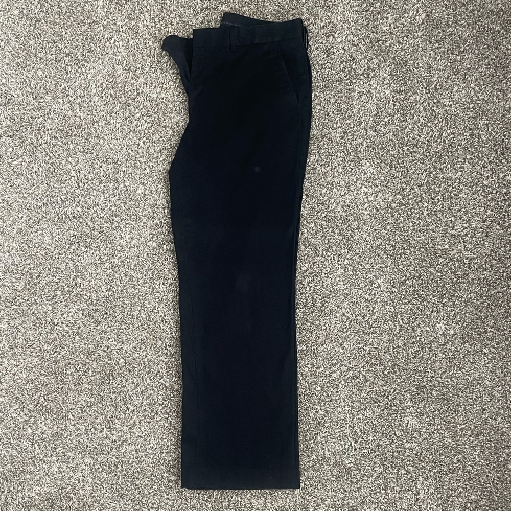 Express Dress Pants
